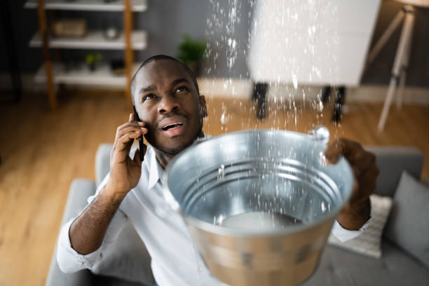 Best Ceiling water damage repair  in Clarinda, IA