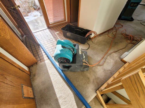 Best Water damage restoration process  in Clarinda, IA