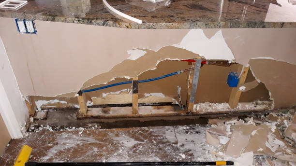 Best Flood restoration services  in Clarinda, IA
